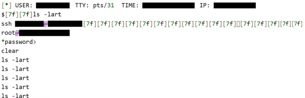 Snippet of a decrypted keylogging file